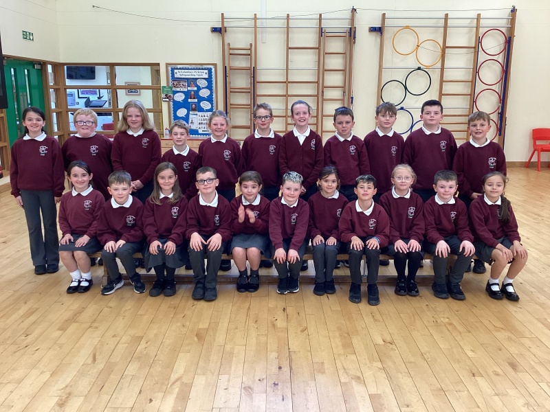 Primary 5
