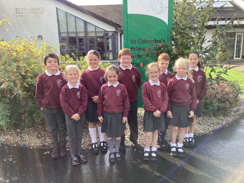 Primary 4
